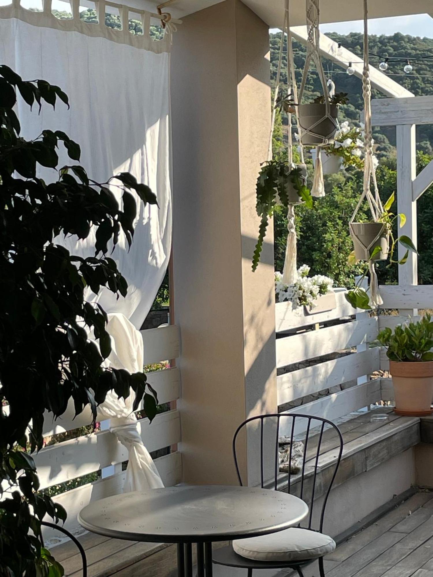 La Pecora Nera B&B Budoni Eksteriør billede